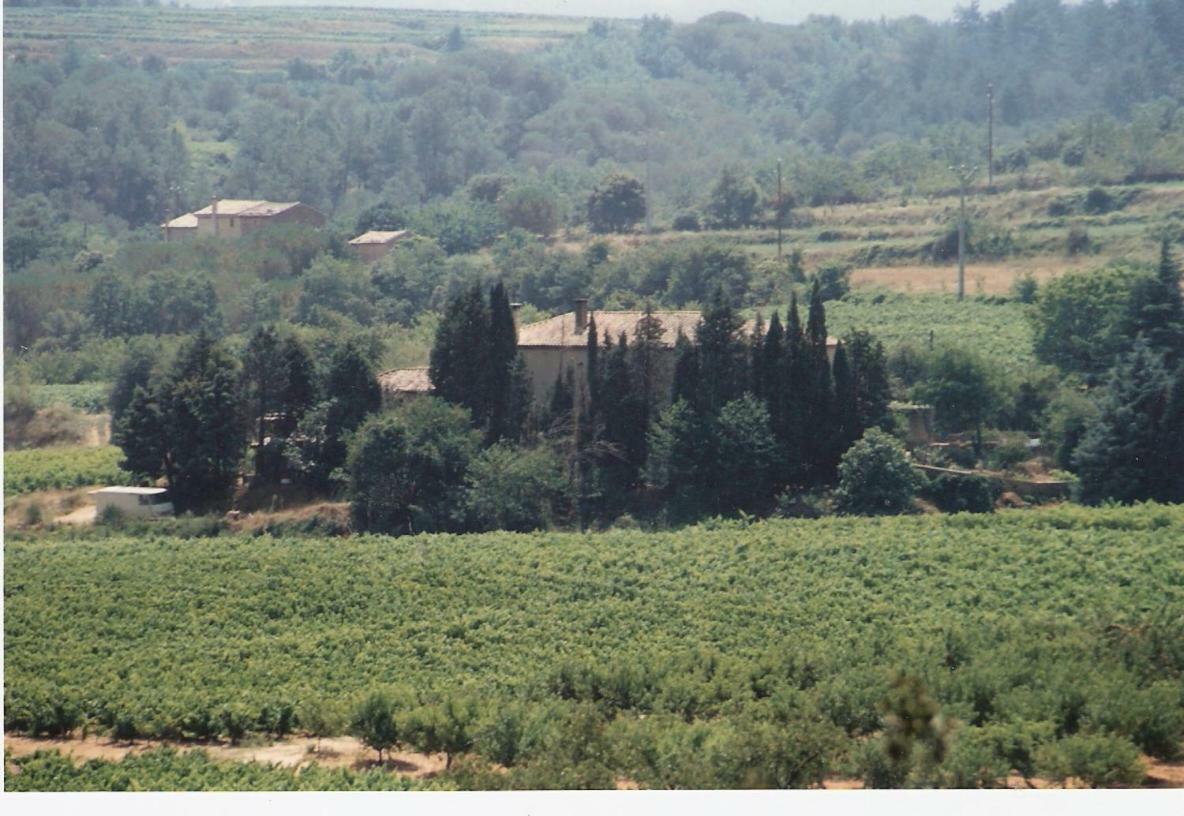 Domaine Chanoine Rambert Saint-Andre-d'Olerargues ภายนอก รูปภาพ
